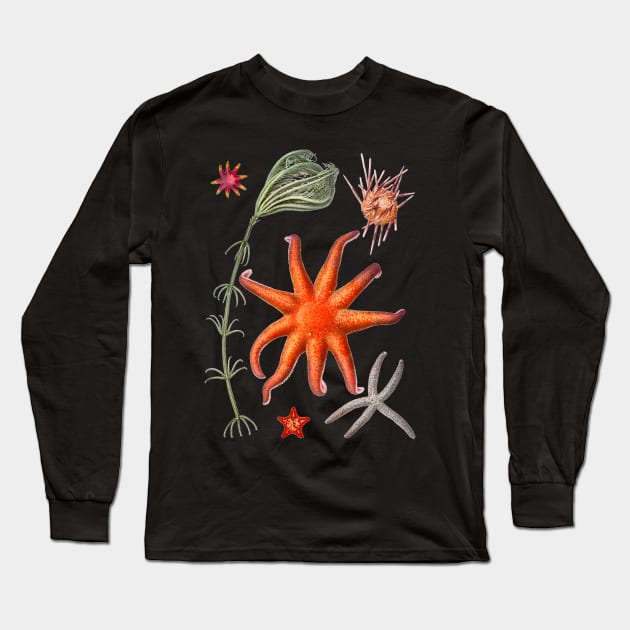 Starfish varieties Long Sleeve T-Shirt by NightvisionDesign